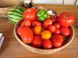 Tomatoes_September
